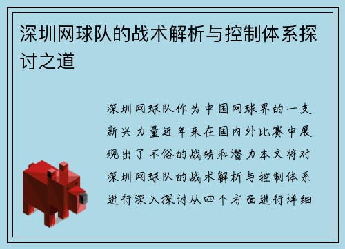 深圳网球队的战术解析与控制体系探讨之道